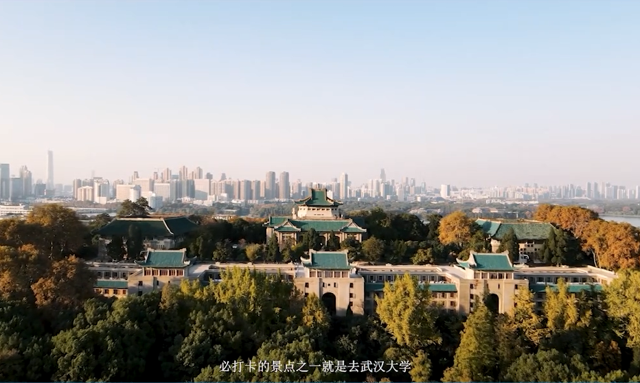 武汉大学边的全新旅居体验，你打卡了嘛？-头条搜索