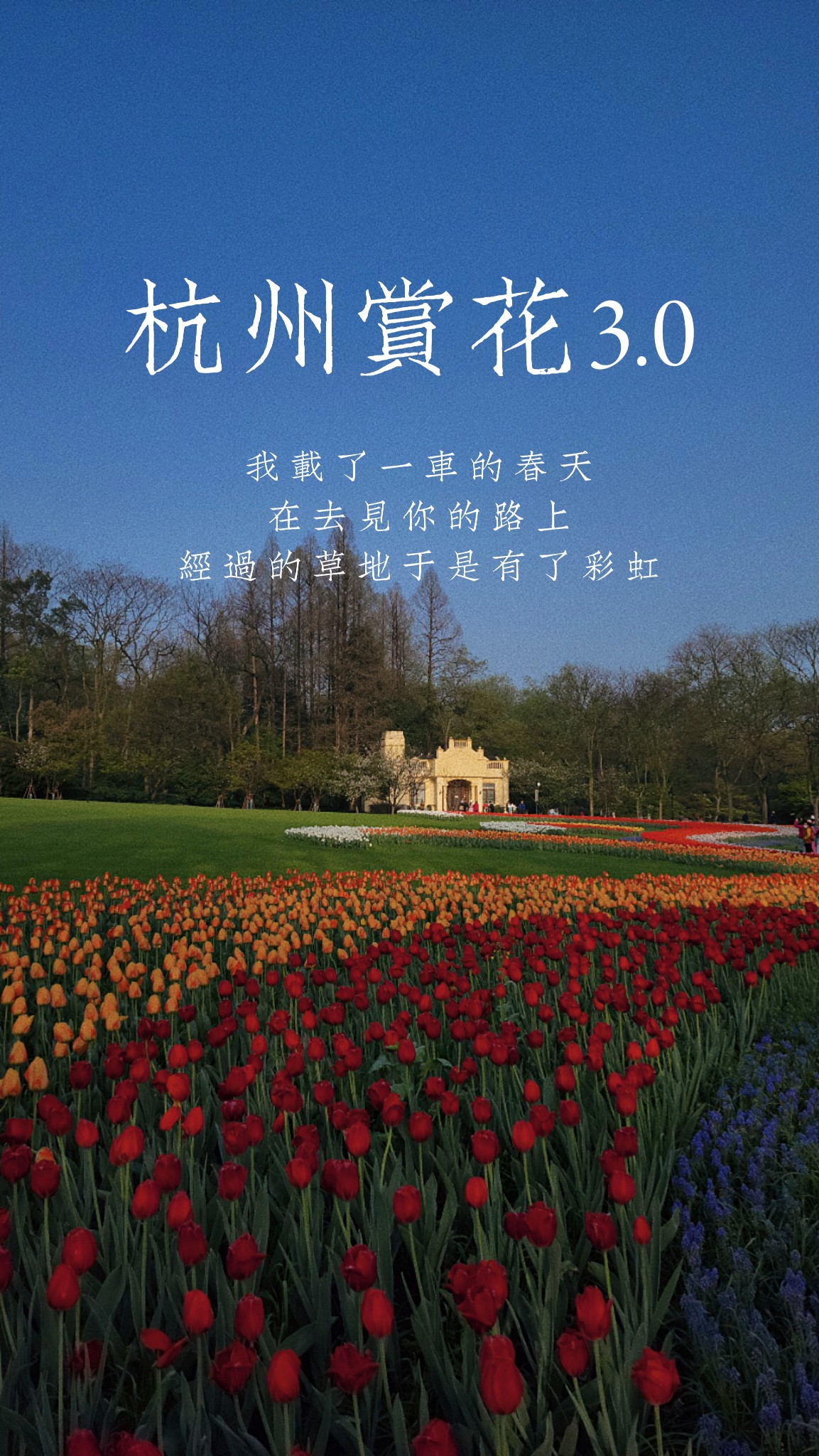 杭州赏花3.0/开往春天的地铁，这眼见着立秋了-头条搜索